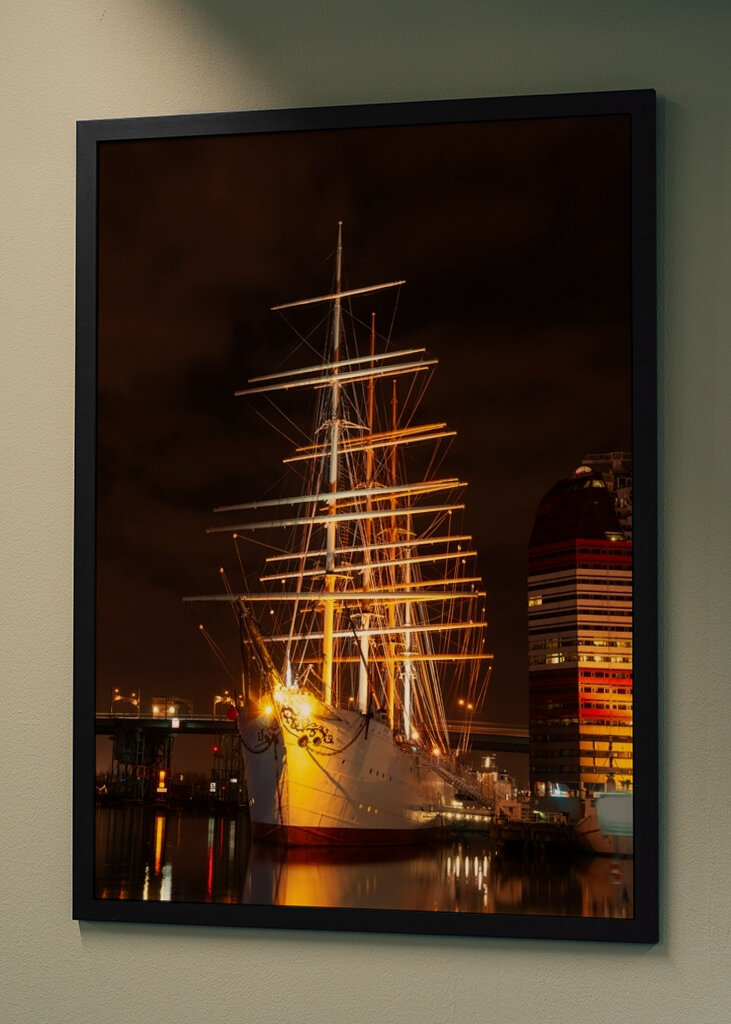 Barken Viking v Göteborgu