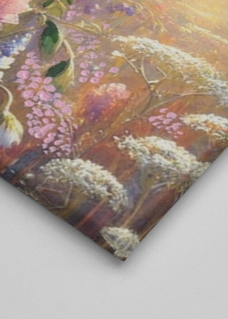 Letné kvety pri západe slnka