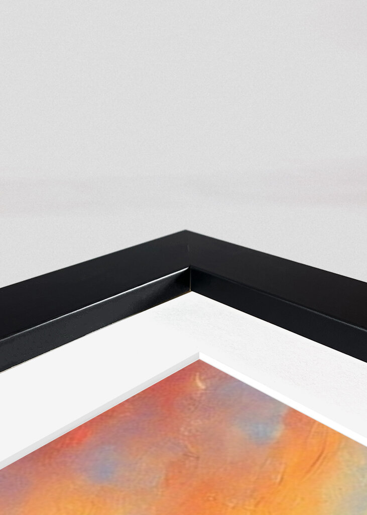 Letné kvety pri západe slnka