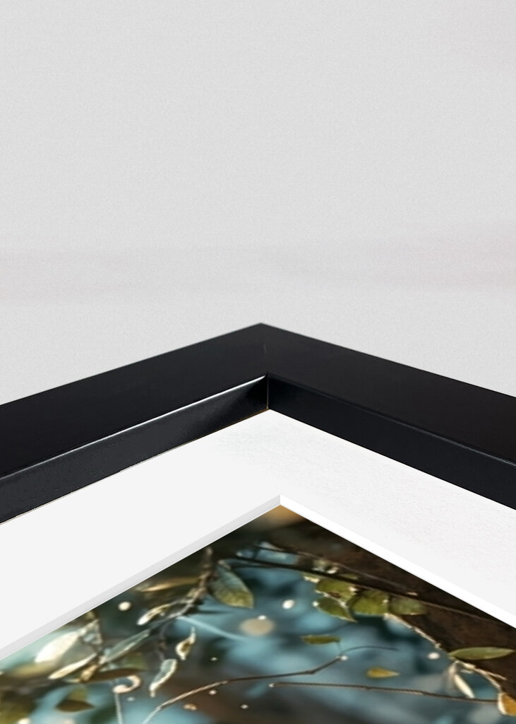 Nalle's Enchanted World