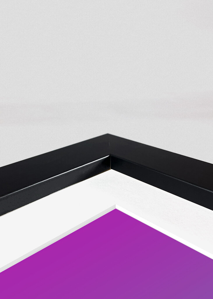 Snoop Dogg retro art