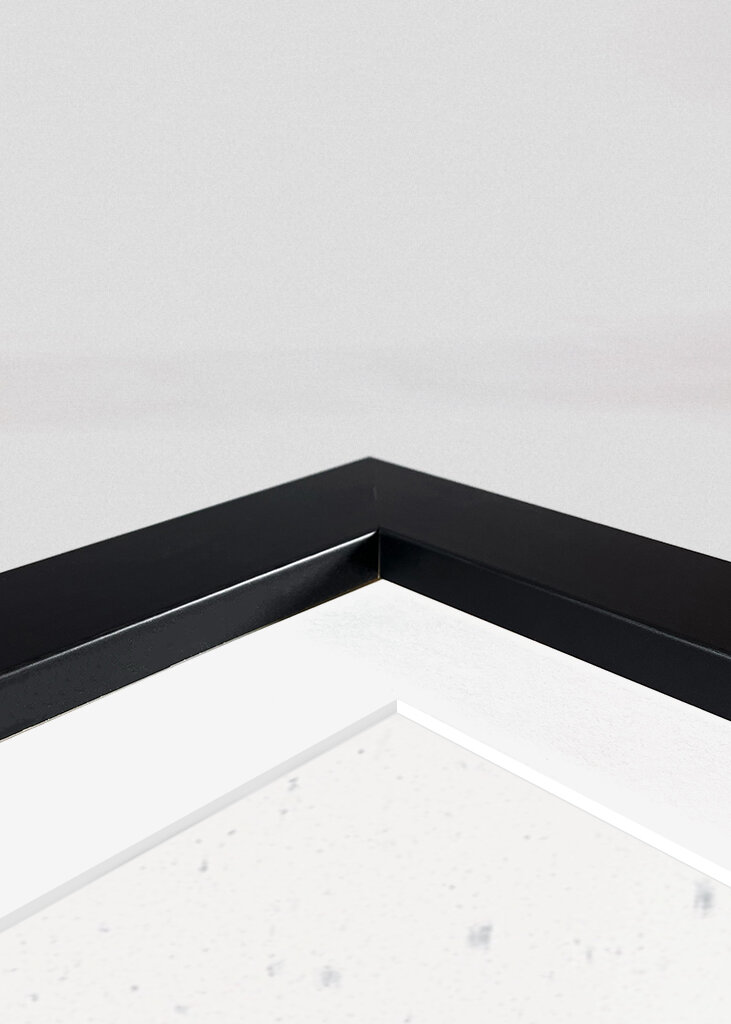 4 Pingüinos en Nueva York