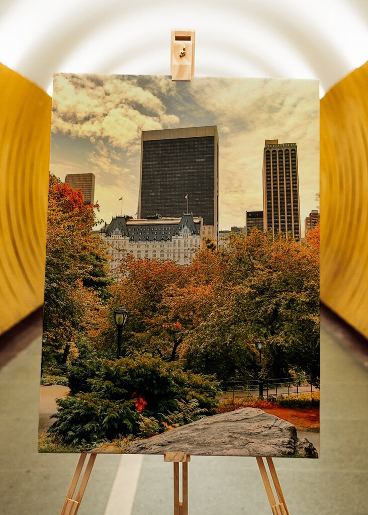 The Plaza Hotel - New York