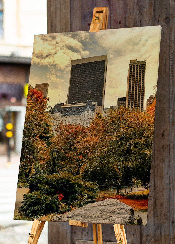 The Plaza Hotel - New York