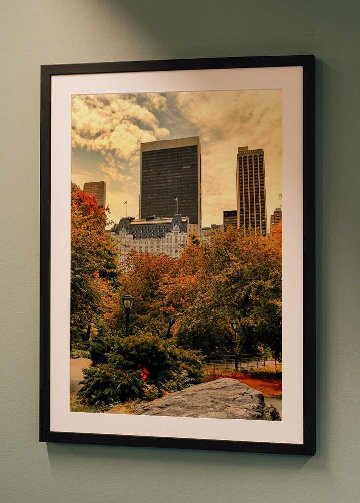 The Plaza Hotel - New York