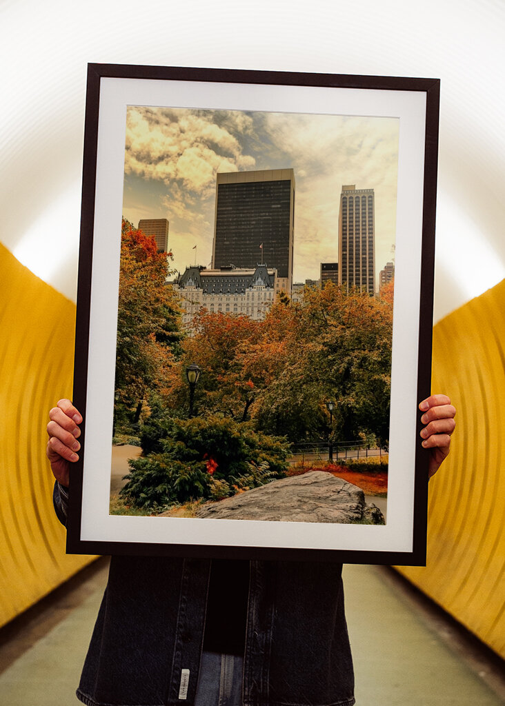 The Plaza Hotel - New York