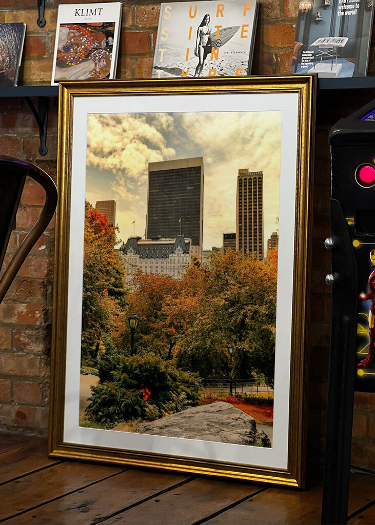 The Plaza Hotel - New York