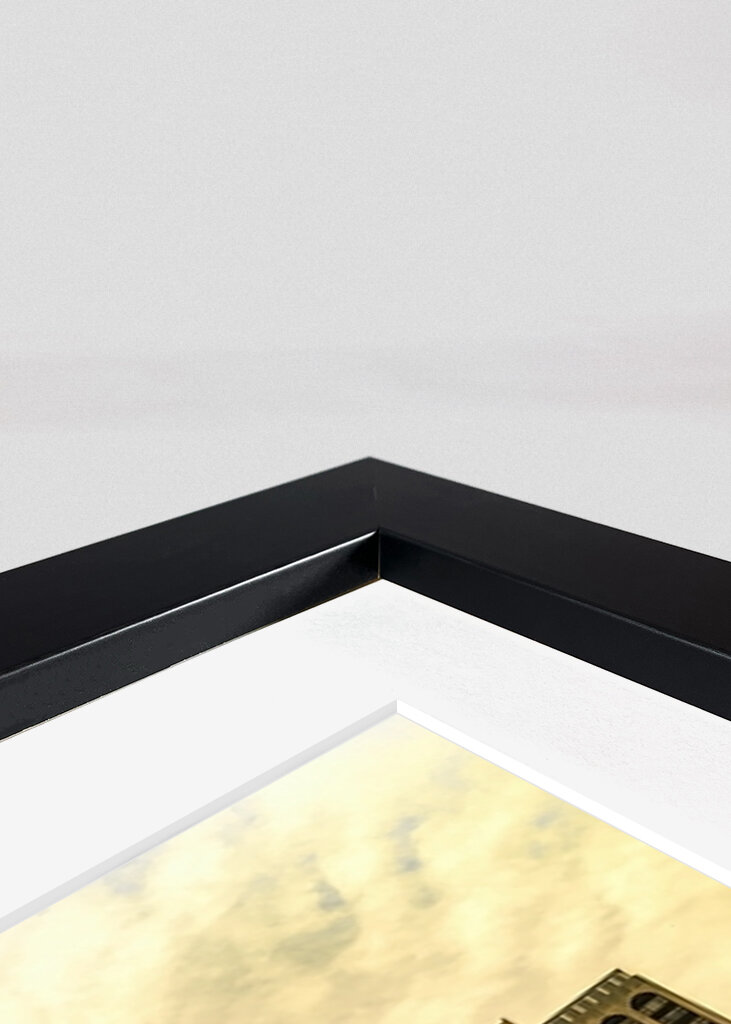 The Plaza Hotel - New York