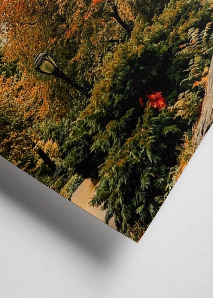 The Plaza Hotel - New York