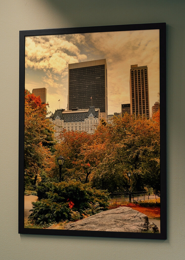The Plaza Hotel - New York