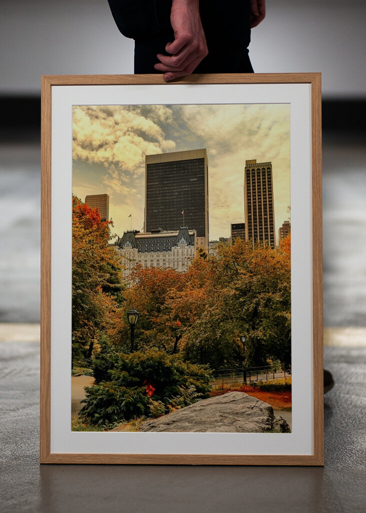 The Plaza Hotel - New York