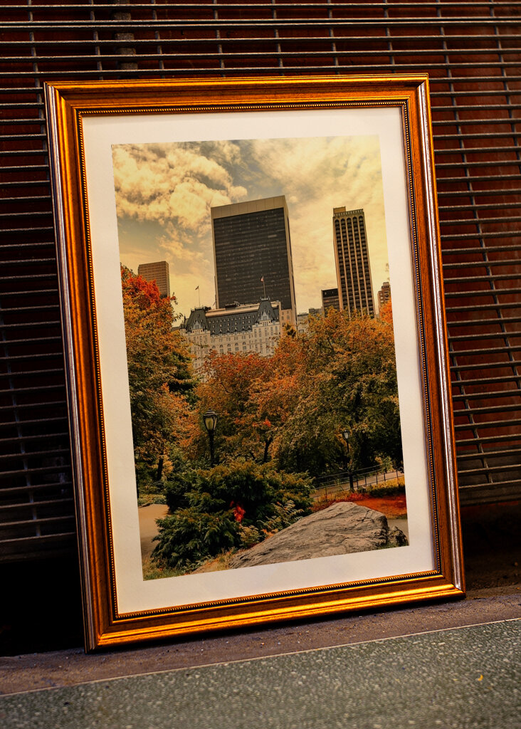 The Plaza Hotel - New York