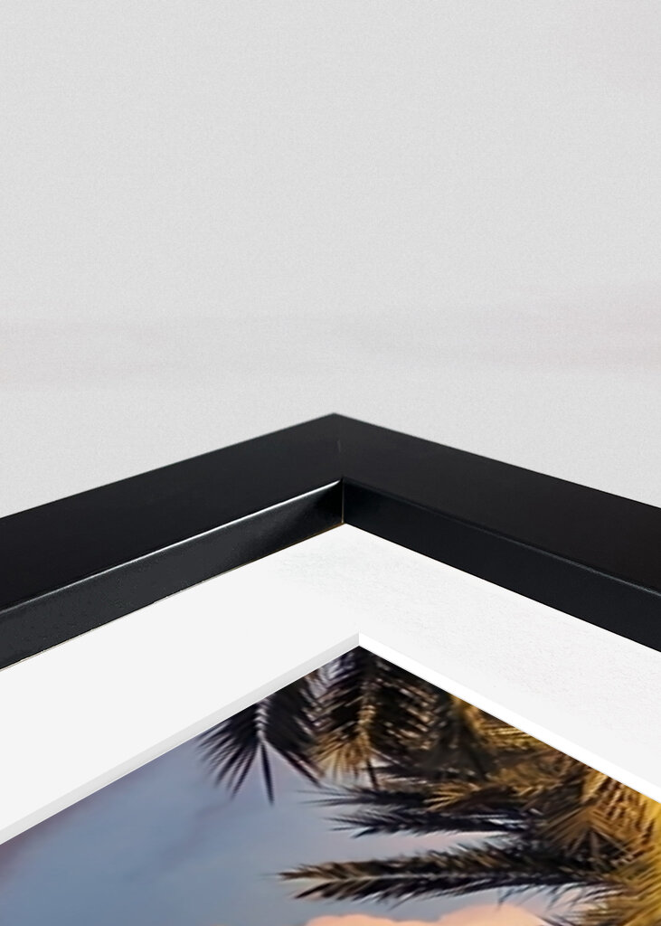 Palma Cathedral II - Mallorca