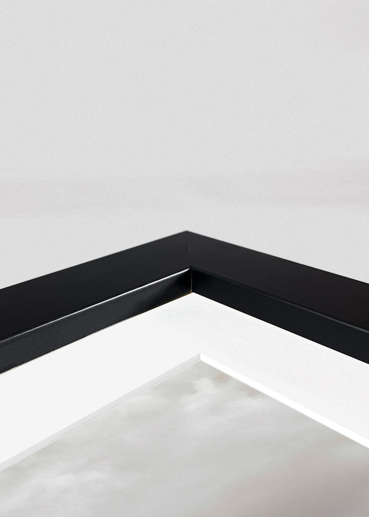 Palman katedraali III - Mallorca