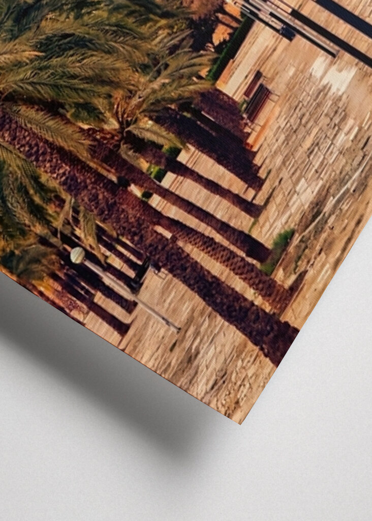 Palman katedraali III - Mallorca