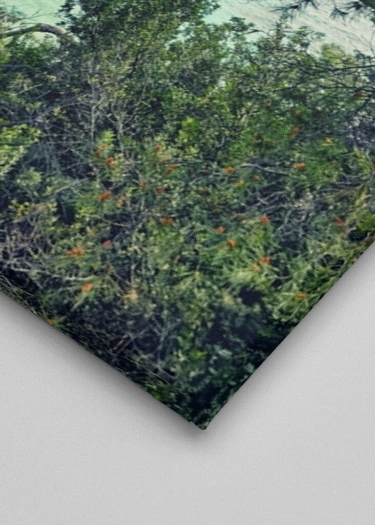 Cala Comtessa II, Mallorca