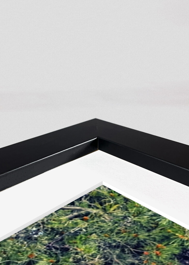 Cala Comtessa II, Mallorca