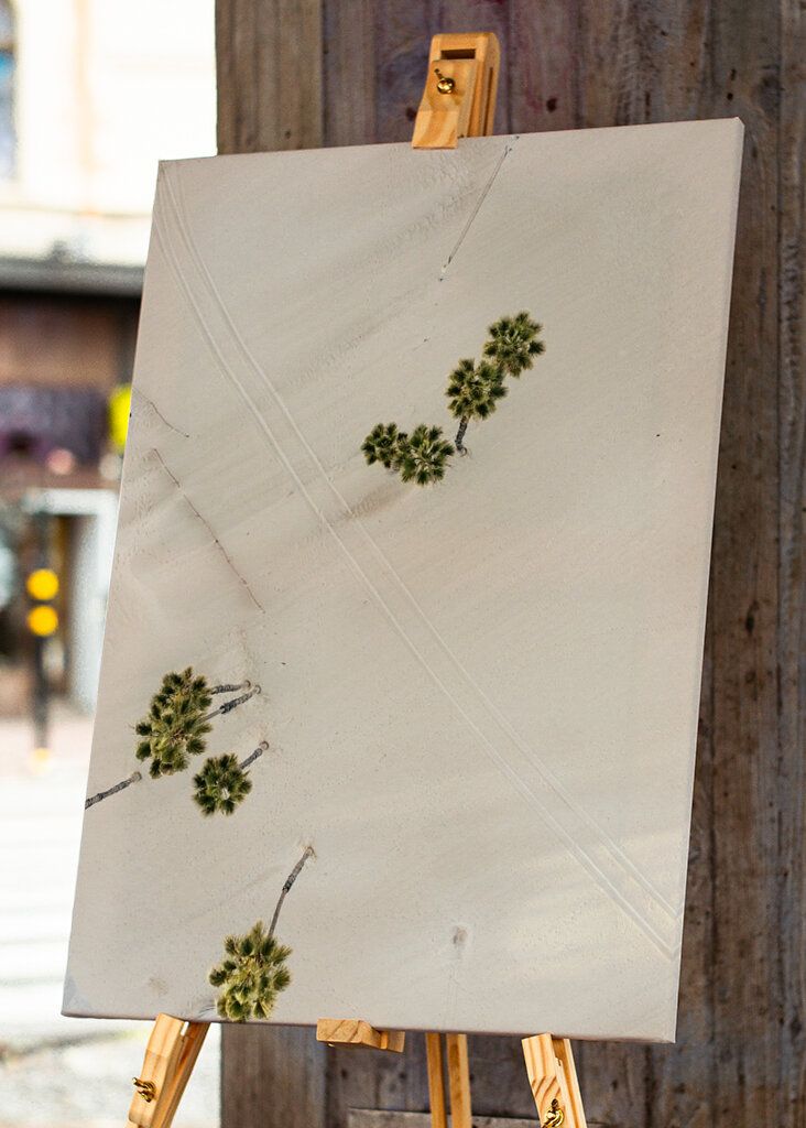 Imprints in the sand