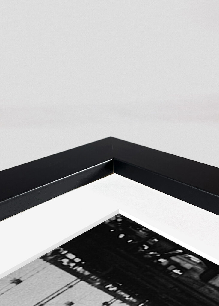 RMS Titanic Staple Leaf