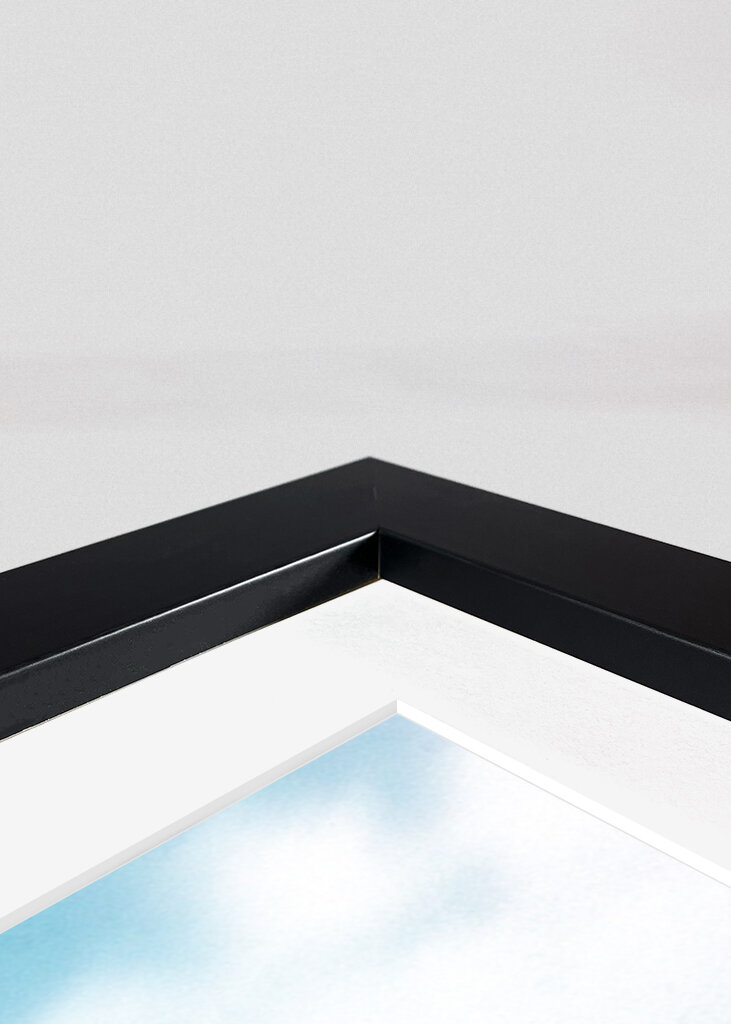 Rovinj Kroatien Adriaterhavskysten