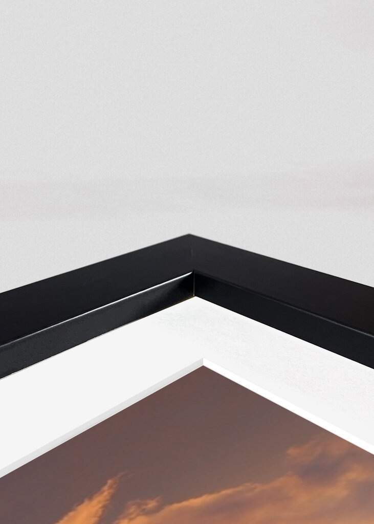 Het landschap van de fantasie met dieren