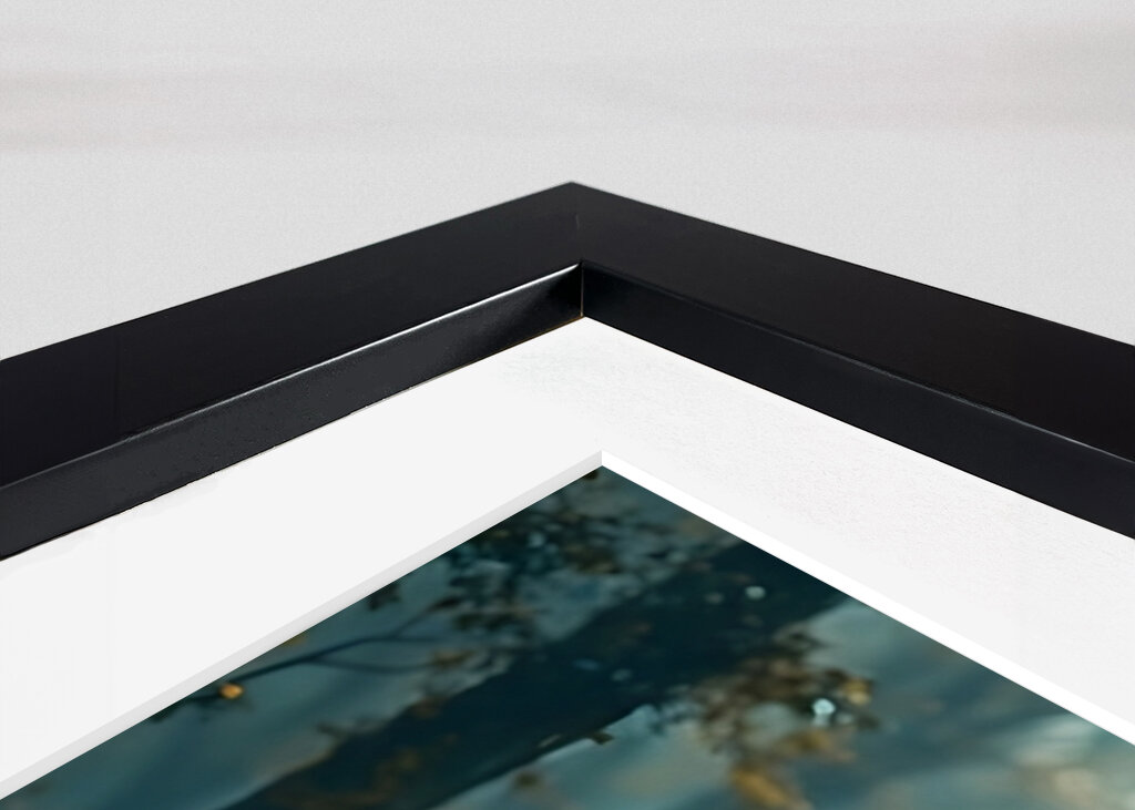 Spirit of the Forest