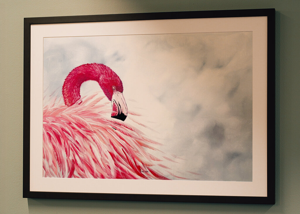 Flamingo