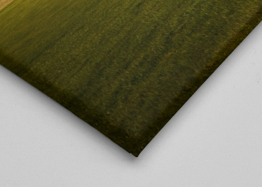 Lonely farm in Iceland