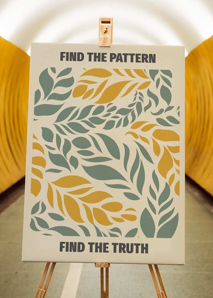 Find mønsteret, find sandheden