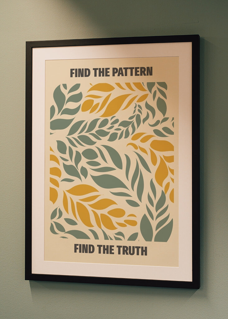 Find mønsteret, find sandheden