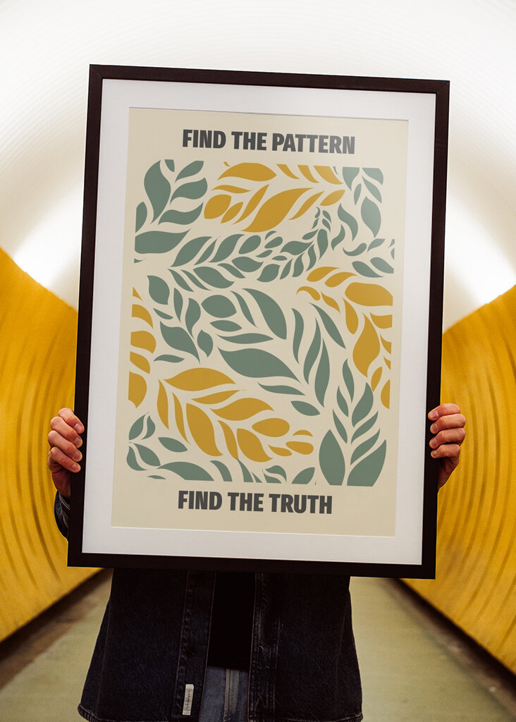 Find mønsteret, find sandheden