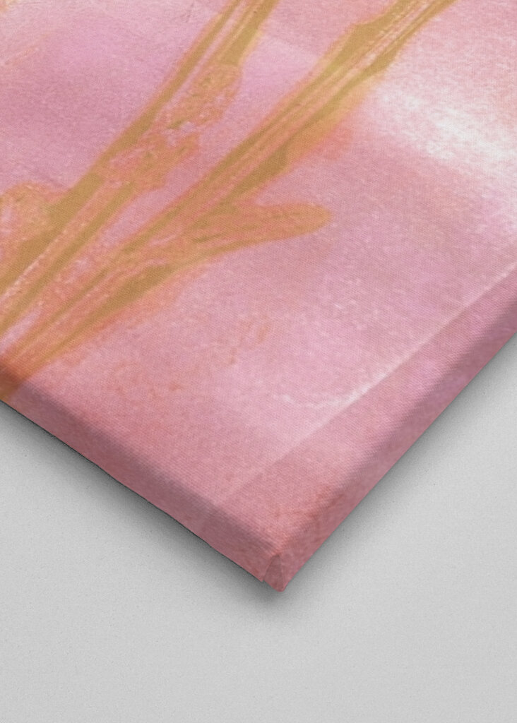 three flowers at sunset