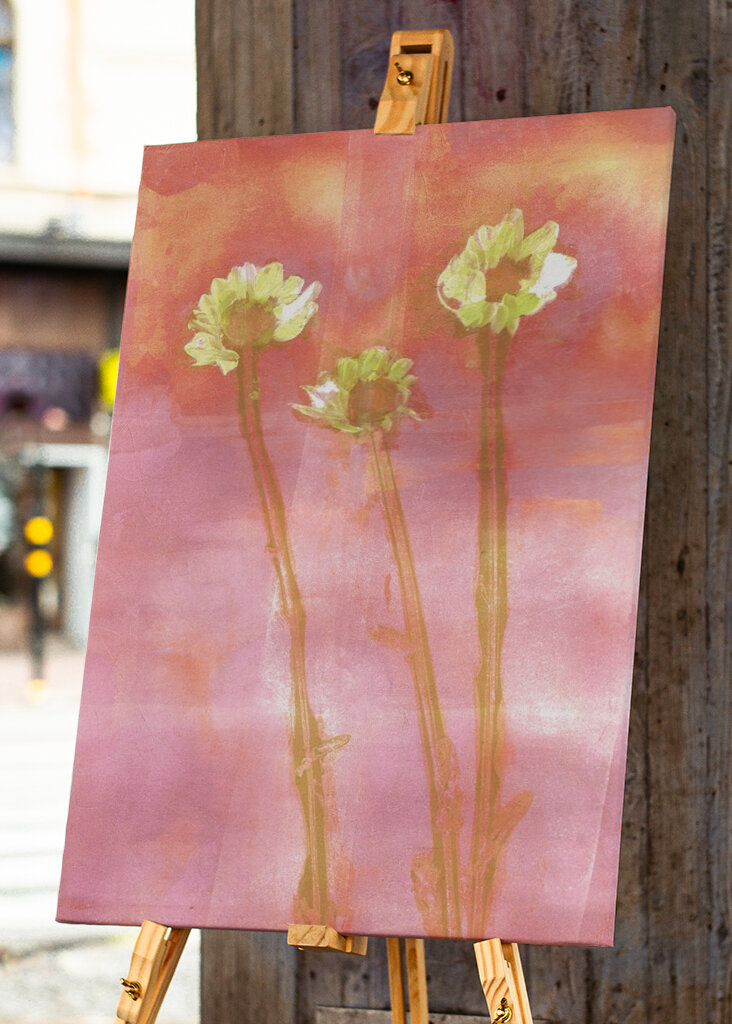 three flowers at sunset