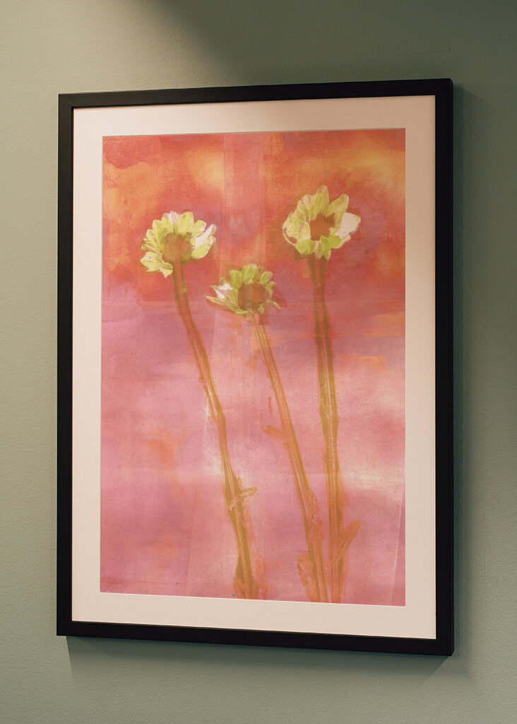 three flowers at sunset