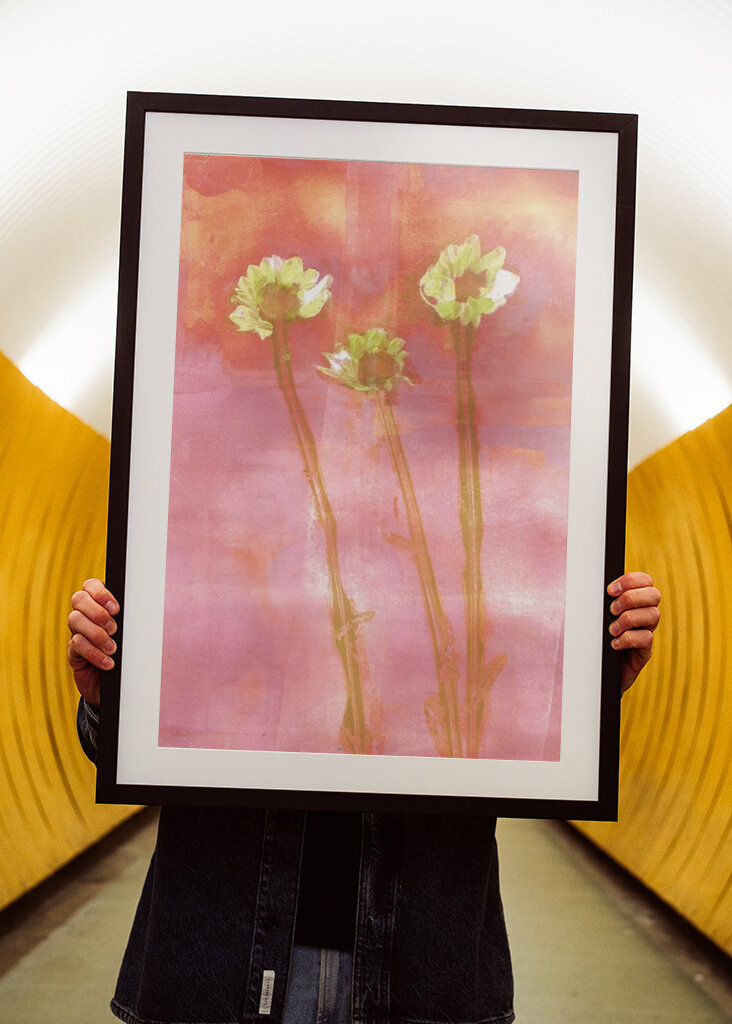 three flowers at sunset