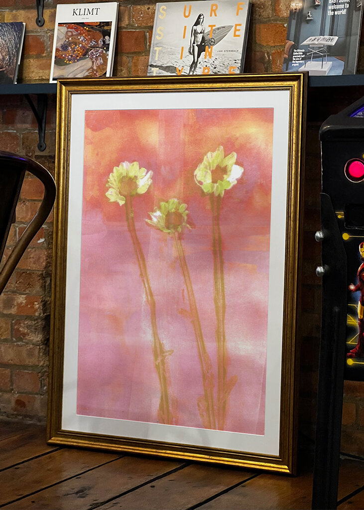 three flowers at sunset