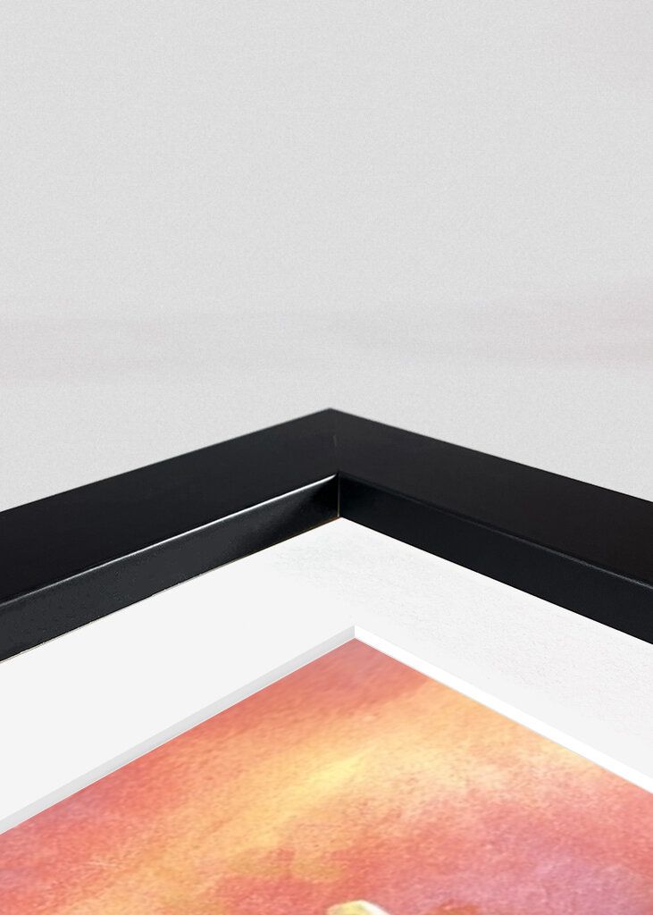 three flowers at sunset