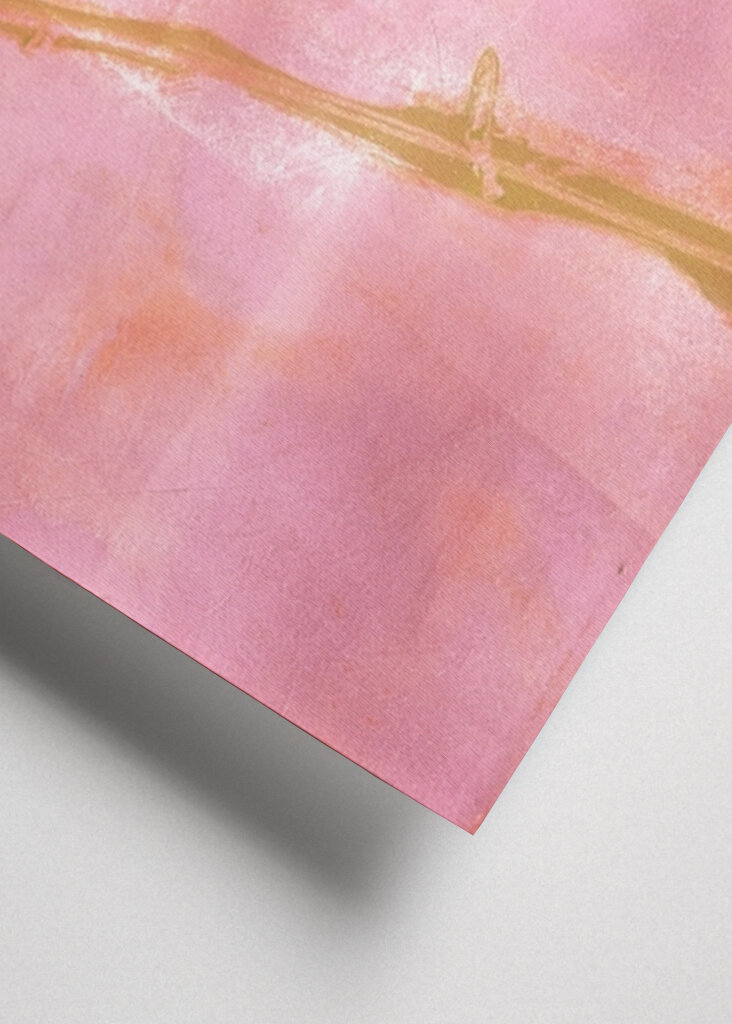 three flowers at sunset