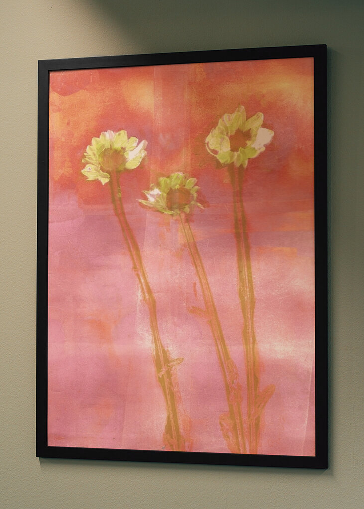 three flowers at sunset