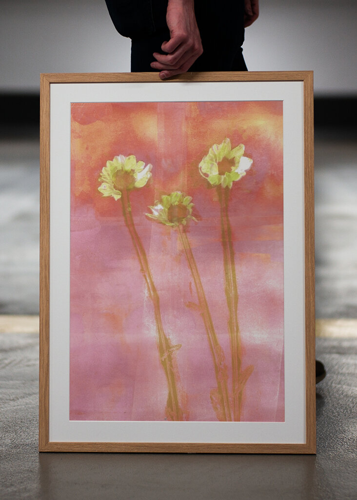 three flowers at sunset