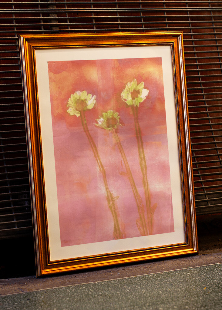 three flowers at sunset