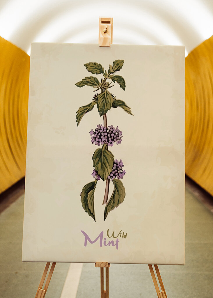 Mint Vintage Botanik