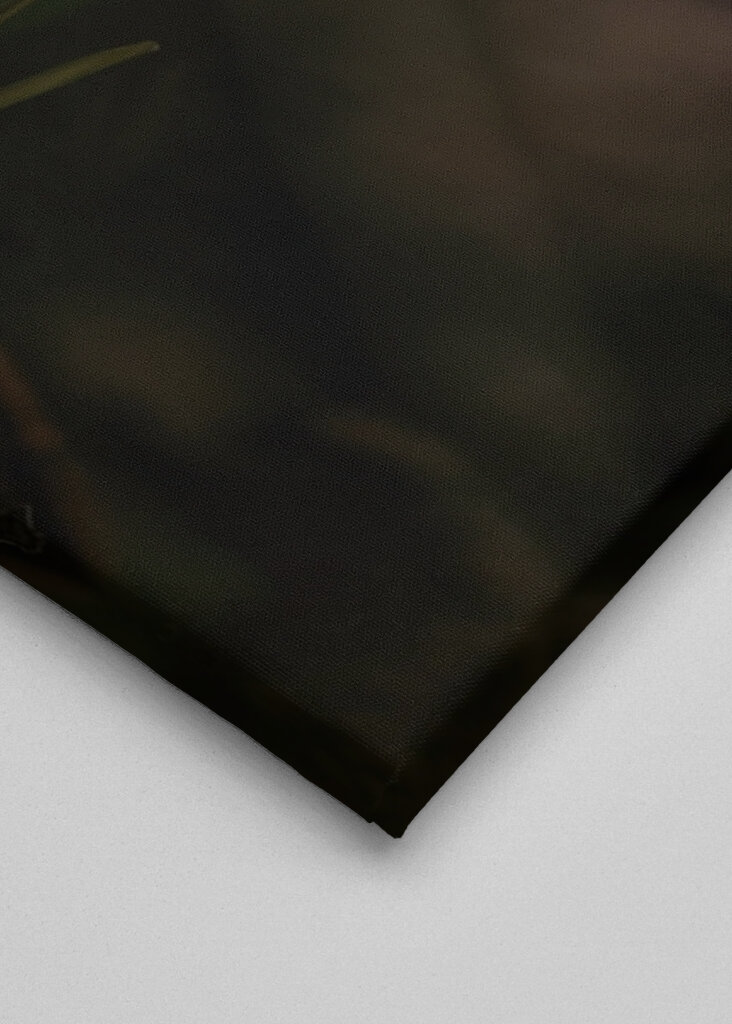 Spring is coming soon