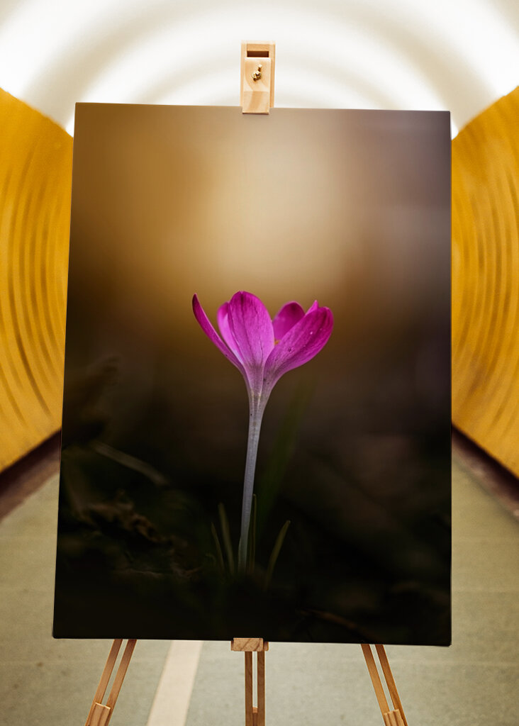 Spring is coming soon