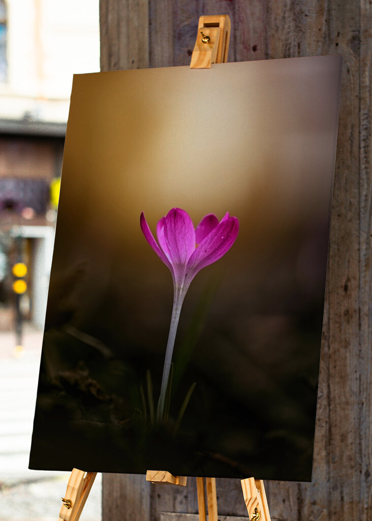 Spring is coming soon