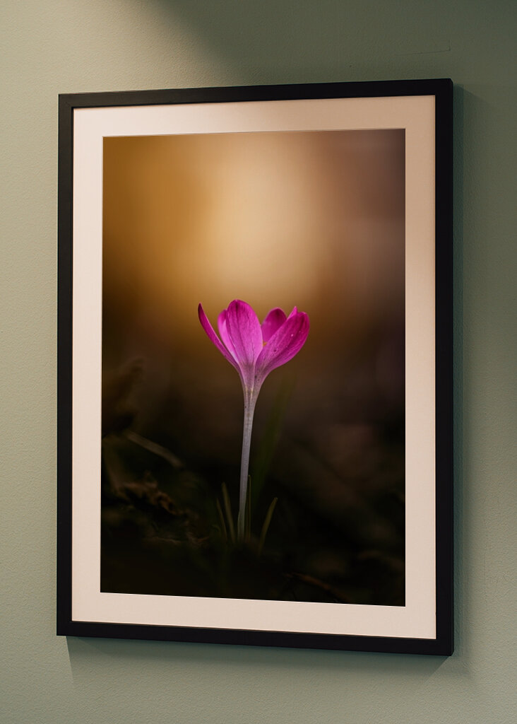 Spring is coming soon