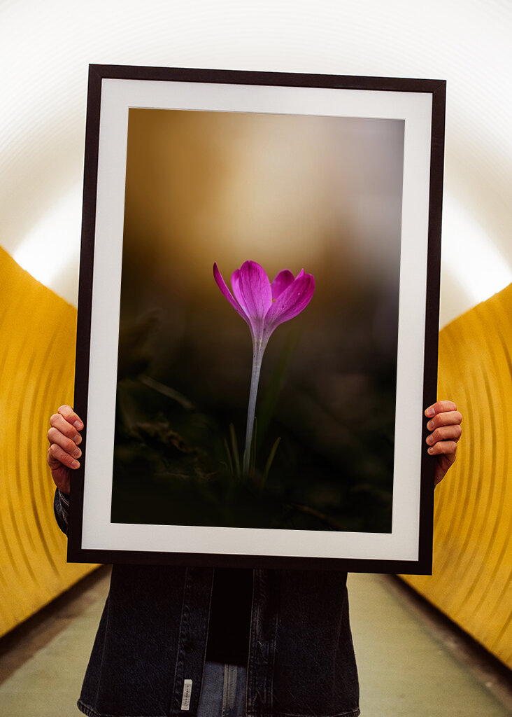 Spring is coming soon