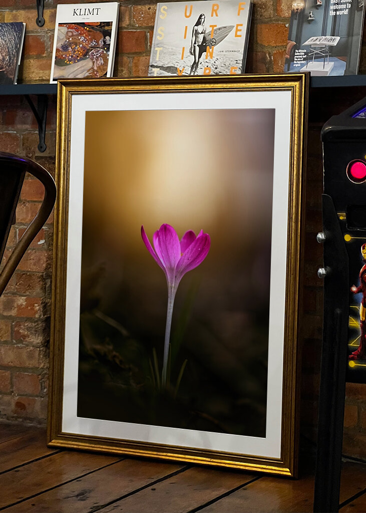 Spring is coming soon