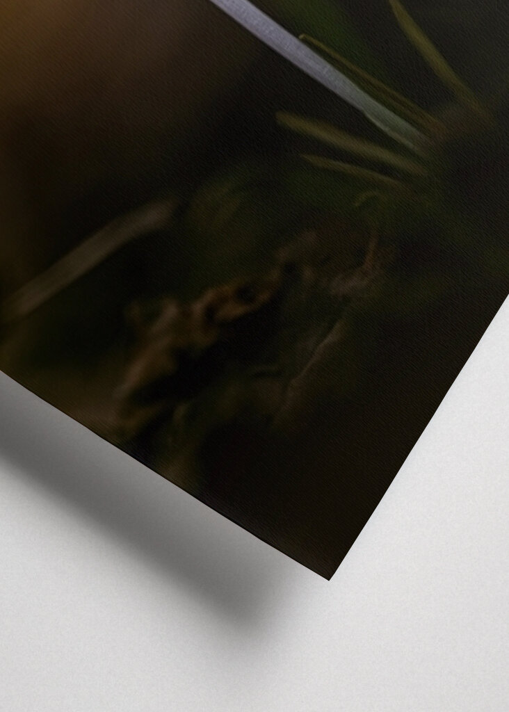 Spring is coming soon