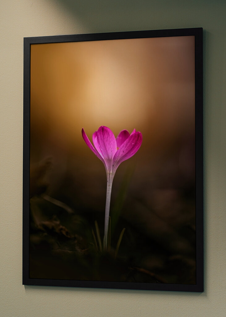 Spring is coming soon